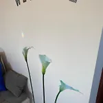 Sabina - Kroatien Apartament Ražanac