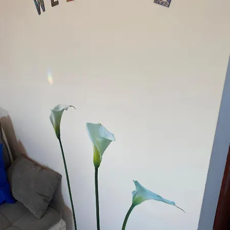Sabina - Kroatien Apartment Razanac