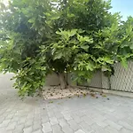 Appartamento Sabina - Kroatien