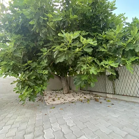 Apartman Sabina - Kroatien